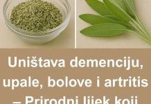 Prirodni lijek koji zamjenjuje apoteku – Uništava demenciju, upale, bolove i artritis