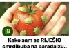 Kako sam se RIJEŠIO smrdibuba na paradajzu.. Ovu stvar ne mogu da podnesu…