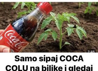 Samo sipaj COCA COLU na biljke i gledaj štaće se desiti! Nisam mogla vjerovati