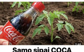 Samo sipaj COCA COLU na biljke i gledaj štaće se desiti! Nisam mogla vjerovati