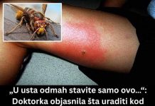 UJEO VAS JE STRŠLJEN? EVO ŠTA ODMAH URADITI! 🐝