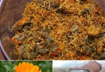 ČAJ 0D NEVENA – NEVJER0VATN0 K0RISTAN, P0SEBN0 ZA ŽENE