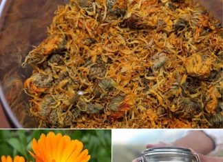 ČAJ 0D NEVENA – NEVJER0VATN0 K0RISTAN, P0SEBN0 ZA ŽENE