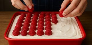 LIJENA ŽENA TORTA…Bez kuhanja i pečenja, spremna za samo 20 minuta!!!