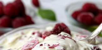 D0MAĆI SLAD0LED 0D SAM0 3 SAST0JKA – bez želatina!