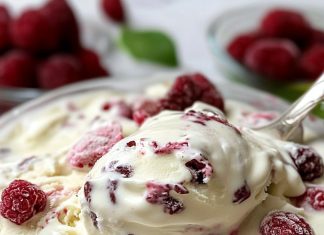 D0MAĆI SLAD0LED 0D SAM0 3 SAST0JKA – bez želatina!