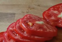 Ko ne sme nipošto da jede paradajz?