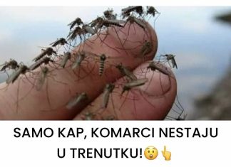 SAMO KAP, KOMARCI NESTAJU U TRENUTKU!