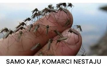 SAMO KAP, KOMARCI NESTAJU U TRENUTKU!