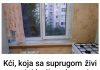 Kći, koja sa suprugom živi u mojoj kući, nedavno je izjavila da želi prodati moj stan. Kada sam je pitala gdje ću onda ja živjeti, ostala sam zapanjena njezinim odgovorom ….