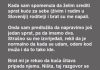 “Kada sam spomenula da želim srediti sprat kuće za sebe (živim i radim u Sloveniji) roditelji i brat su me napali ….