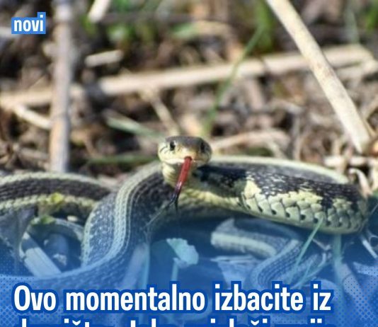 Ovo momentalno izbacite iz dvorišta: