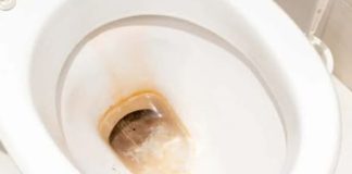 Odličan KUĆNI TRIK kako ukloniti žute mrlje i kamenac u WC šolji bez hemikalija: Testirano, djeluje odmah!