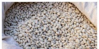 Nikada nemojte namakati grah u vodi prije kuhanja: umjesto toga upotrijebite samo ovu namirnicu