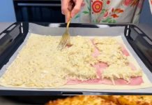 LISNAT0 TIJEST0 PUNJEN0 SIR0M I ŠUNK0M…