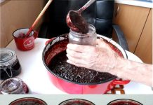 KAKO NAPRAVITI DŽEM OD ŠLJIVA U PEĆNICI? Ne možete zamisliti bolji okus! (RECEPT)