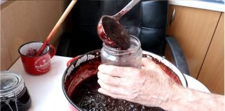 KAKO NAPRAVITI DŽEM OD ŠLJIVA U PEĆNICI? Ne možete zamisliti bolji okus! (RECEPT)