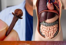 Vjerojatno ste čuli za klinčić, ali nikad niste znali za moć vode klinčića!