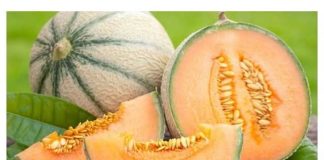 JEDITE DINJU U ŠTO VEĆIM KOLIČINAMA: EVO KOJIH 7 PROBLEMA LEČI OVA NAMIRNICA