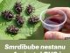 Smrdibube nestanu za 1 minutu! OVO je jače od tone otrova…