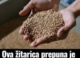 Ova žitarica prepuna je kolagena: Podmlađuje, jača kosti i čuva crijeva, jedite je što češće