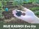 NIJE KASNO! Evo šta se sije i sadi u julu? Za berbu prije jeseni!