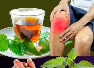 Čaj od koprive: prirodno rješenje za kontrolu mokraćne kiseline