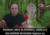 POSKOK UBIO SLOVENKU, UMRLA U NAJGORIM MUKAMA Oglasio se zmijolovac Vladica: Ovo odmah uradite ako vas ujede zmija!