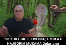 POSKOK UBIO SLOVENKU, UMRLA U NAJGORIM MUKAMA Oglasio se zmijolovac Vladica: Ovo odmah uradite ako vas ujede zmija!