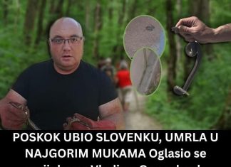 POSKOK UBIO SLOVENKU, UMRLA U NAJGORIM MUKAMA Oglasio se zmijolovac Vladica: Ovo odmah uradite ako vas ujede zmija!