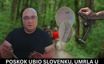 POSKOK UBIO SLOVENKU, UMRLA U NAJGORIM MUKAMA Oglasio se zmijolovac Vladica: Ovo odmah uradite ako vas ujede zmija!