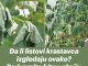Da li listovi krastavca izgledaju ovako? Poduzmite hitnu akciju kako biste izbjegli gubitak cijelog uroda!