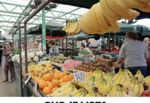 0V0 JE LISTA NAJ0PASNIJEG V0ĆA I POVRĆA NA PIJACI