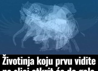 Prva životinja koju vidite na slici otkrit će vaš karakter golim okom: Jeste li spremni?