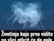 Prva životinja koju vidite na slici otkrit će vaš karakter golim okom: Jeste li spremni?