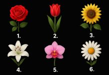 Izaberite jedan cvijet i otkrijte kakvi ste u tuđim očima