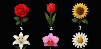 Izaberite jedan cvijet i otkrijte kakvi ste u tuđim očima
