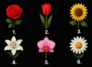 Izaberite jedan cvijet i otkrijte kakvi ste u tuđim očima