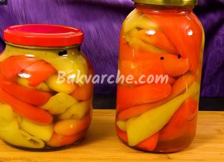 STARINSKI RECEPT: 50 godina pripremamo zimnicu od paprika na ovaj način – prvo moja baka, sada ja…