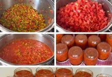 LJUTENICA: FANTASTIČNA LJUTA SALATA ZA SVE GURMANE!