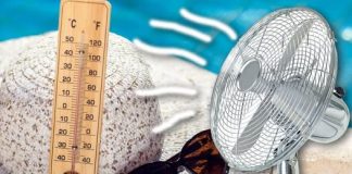 Arhitekt otkrio kako rashladiti prostoriju bez klime! Ovo samo genije može smisliti, POSTOJE 2 NAČINA