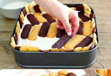 BEZ PEČENJA – I NESTALE SU ZA MINUTU! SLADOLED TORTA SA KEKISIMA I NUTELLOM