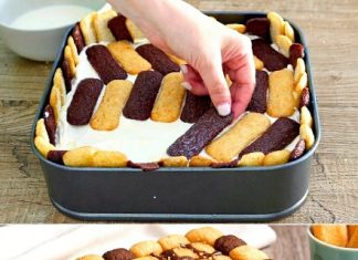 BEZ PEČENJA – I NESTALE SU ZA MINUTU! SLADOLED TORTA SA KEKISIMA I NUTELLOM