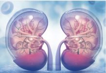 KADA SA BUBREZIMA NEŠTO NIJE U REDU, TELO ŠALJE OVE SIGNALE: 6 simptoma koje ne smete ignorisati!