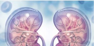 KADA SA BUBREZIMA NEŠTO NIJE U REDU, TELO ŠALJE OVE SIGNALE: 6 simptoma koje ne smete ignorisati!