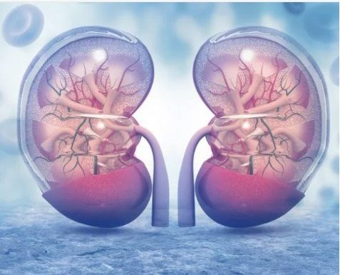 KADA SA BUBREZIMA NEŠTO NIJE U REDU, TELO ŠALJE OVE SIGNALE: 6 simptoma koje ne smete ignorisati!