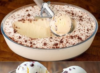 Ne kupujem sladoled u prodavnici! Najbolji sladoled na svijetu! Samo 3 sastojka!