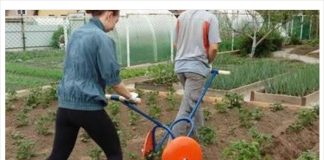 Svekrva nas je pozvala na vikendicu da sredimo.