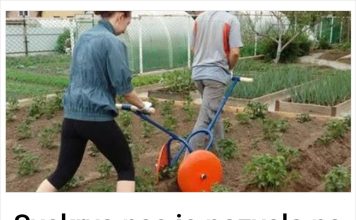 Svekrva nas je pozvala na vikendicu da sredimo.