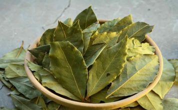 LOVOROV LIST:Spašava srce,leči urinarne infekcije,čisti pluća,smiruje psihu! LOVOROV LIST:Spašava srce,leči urinarne infekcije,čisti pluća,smiruje psihu! - featured image